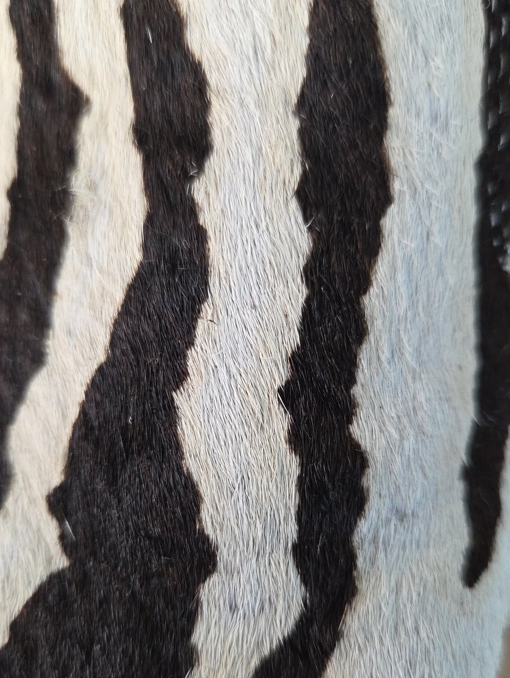 SeaVees Womans EUC Sz9.5 Zebra-Print Slip-On Sneakers in Black & White Platform